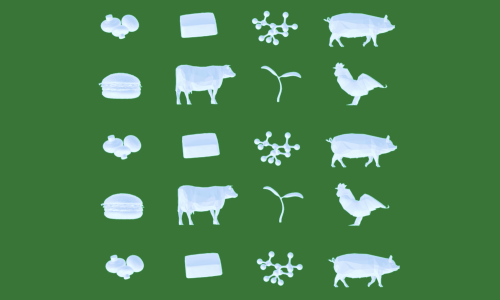 Spinning 3D icons of mushrooms, veggie burgers, cows, tofu, protein molecules, bean sprouts, chickens, and pigs.